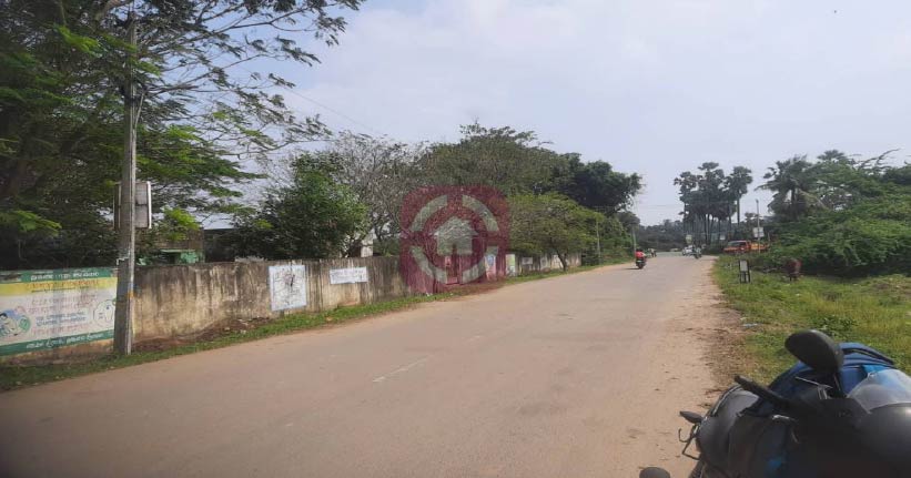 GS Avenue Cover Image